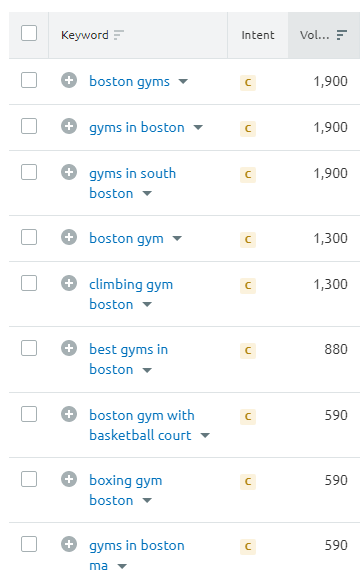 gym seo serp results